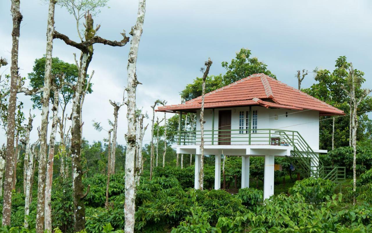 The Suvistara Wayanad Kerala Bed & Breakfast Meenangadi ภายนอก รูปภาพ